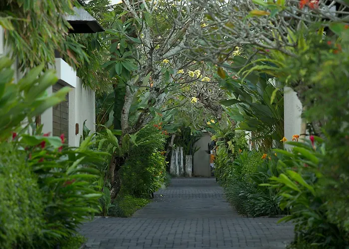 Berry Romantic * Seminyak